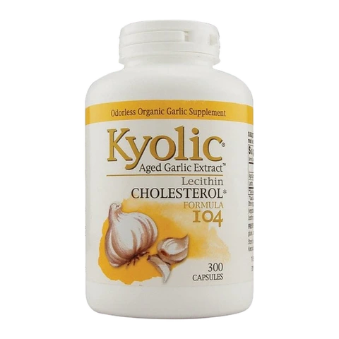 Kyolic - Aged Garlic Extract W/ Lecithin Formula 104 - 300 Capsules