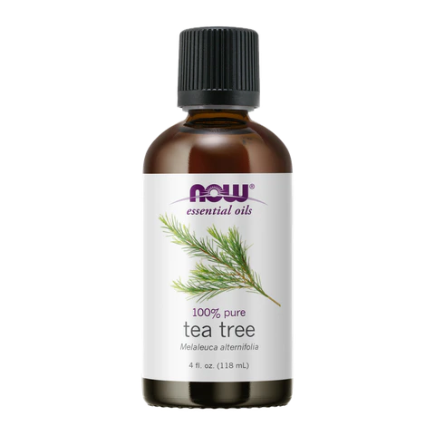 Now - Tea Tree Oil - 4 oz