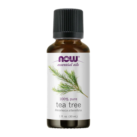 Now - Tea Tree - 1 oz