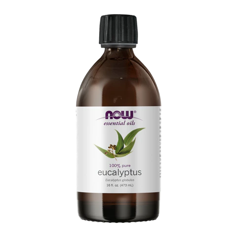 Now - Eucalyptus Oil - 16 oz