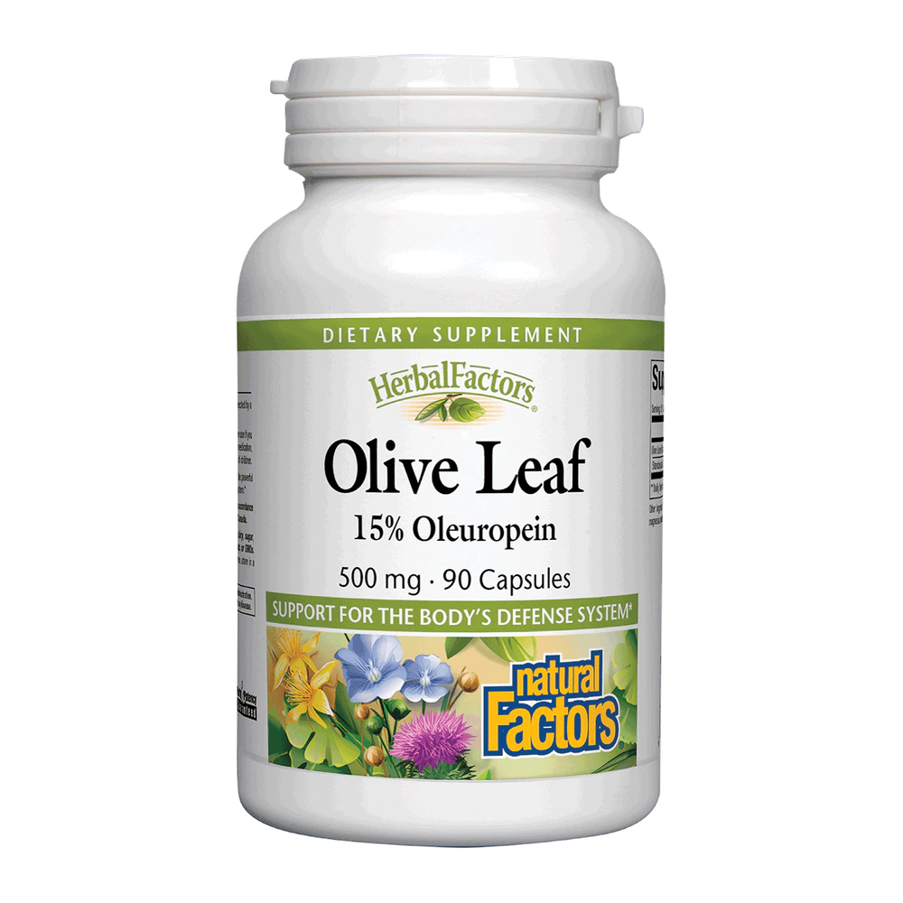 Natural Factors - Olive Leaf 500 mg 15% Oleuropein - 90 Veg Capsules