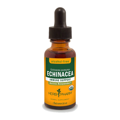 Herb Pharm - Echinacea Immune Support Alcohol Free - 1 oz